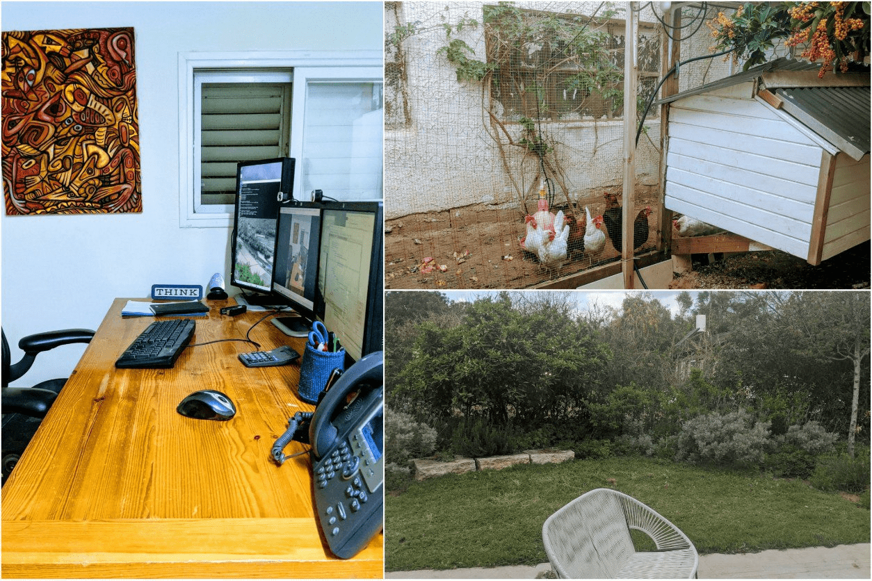 My WFH setup, my chicken coup, and my garden. Quarantine has never been this good.